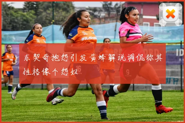 东契奇抱怨引发黄蜂解说调侃称其性格像个怨妇