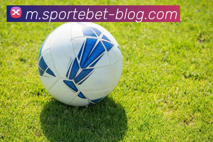 易倍体育APP 封面图